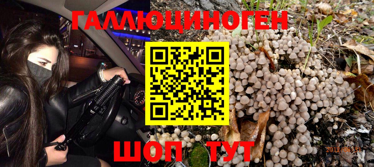 Псилоцибиновые грибы ЛСД Магадан